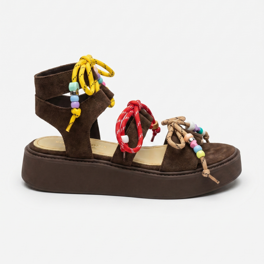 GLADIATOR ANATOMIC TREND
