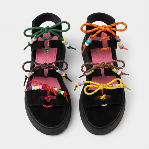 GLADIATOR ANATOMIC TREND