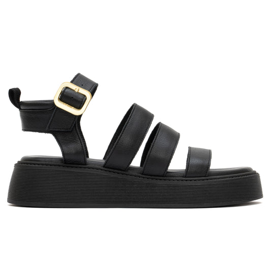 ANATOMIC PLATFORMS