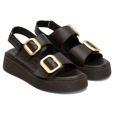 ANATOMIC PLATFORMS