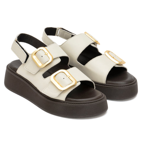 ANATOMIC PLATFORMS