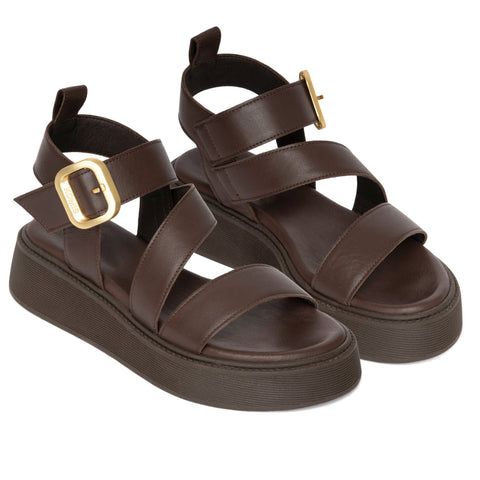 ANATOMIC PLATFORMS