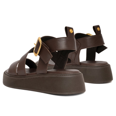 ANATOMIC PLATFORMS